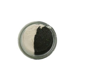 Trout Bait schwarz / weiß Knoblauch Paladin 60 gramm