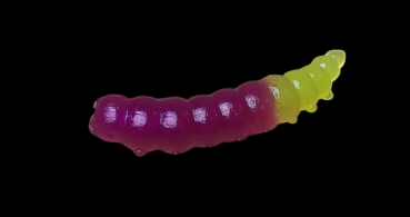 Rocky Trout Bait 42mm Bubblegum #04 Purple-Chartreuse