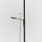 Preview: TROUT JARA BLACK EDITION JR68SUL-S