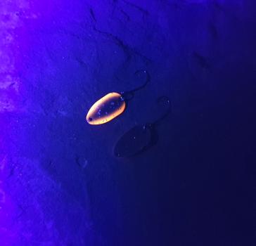 Enki Schwarz-Orange UV 1,2 gramm