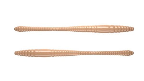 Dying Worm 80 035 pellet LIBRA LURES 12 Stück (CHEESE Flavour)