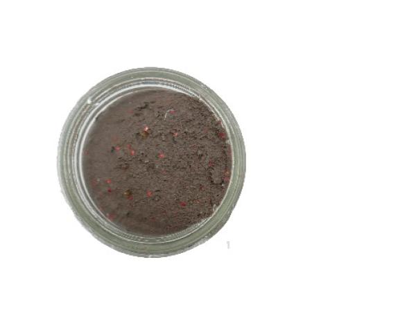 Trout Bait braun Knoblauch Paladin 60 gramm