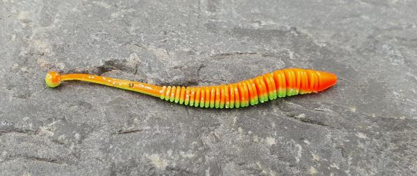 Wurm #13