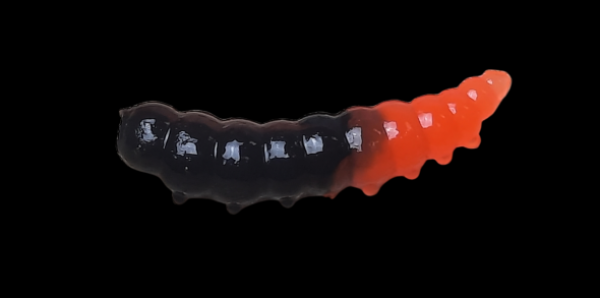 Rocky Trout Bait 42mm Bubblegum #06 Schwarz-Orange