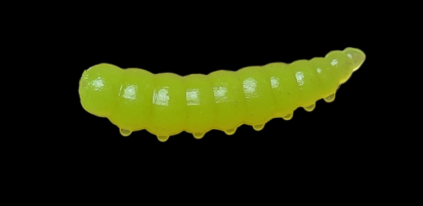 Rocky Trout Bait 42mm Bubblegum #18 Neon Gelb