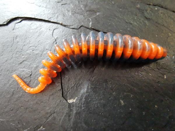 Troutworm 2.0 (Blau-Orange) Bubblegum